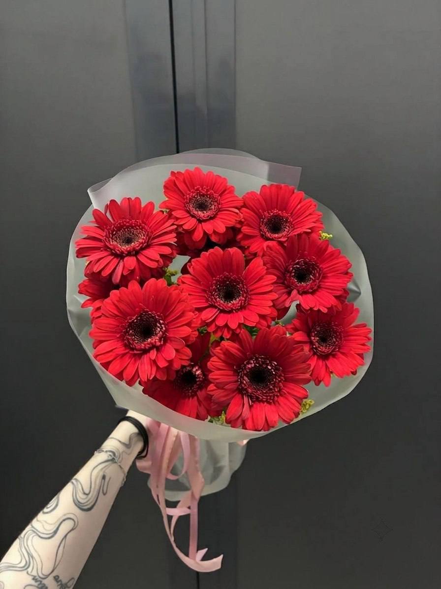 Моно-букет из красных гербер